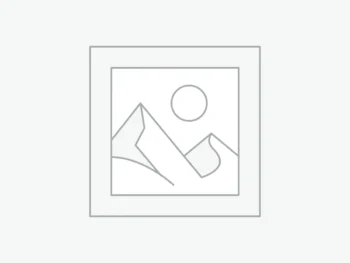 عنصر نائب Placeholder